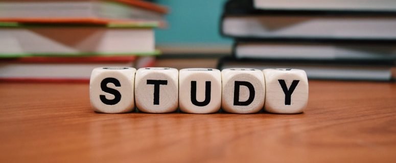 Sibanye Stillwater internship program