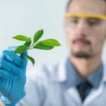 Production Level Scientist Agricultural Economics Position in Elsenburg