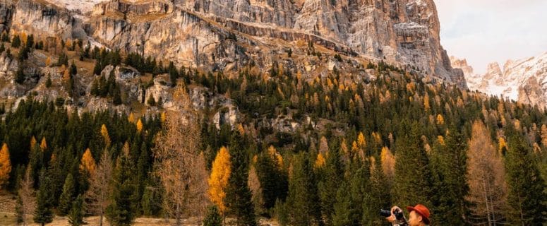 National Park Internship