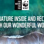 WWF SA Vacancies: Fundraiser 3 Months Contract