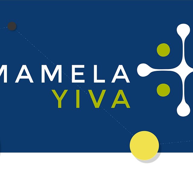 Mamela Yiva: Project Administrator in Johannesburg